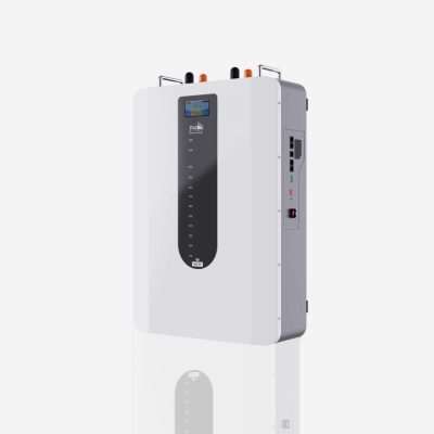 DJDC 51.2V100Ah New Wall-Mounted LiFePO4 Battery